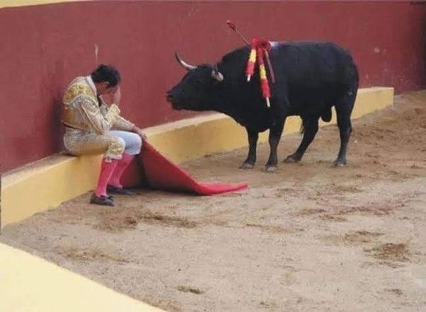 UNILETRAS/toro.jpg
